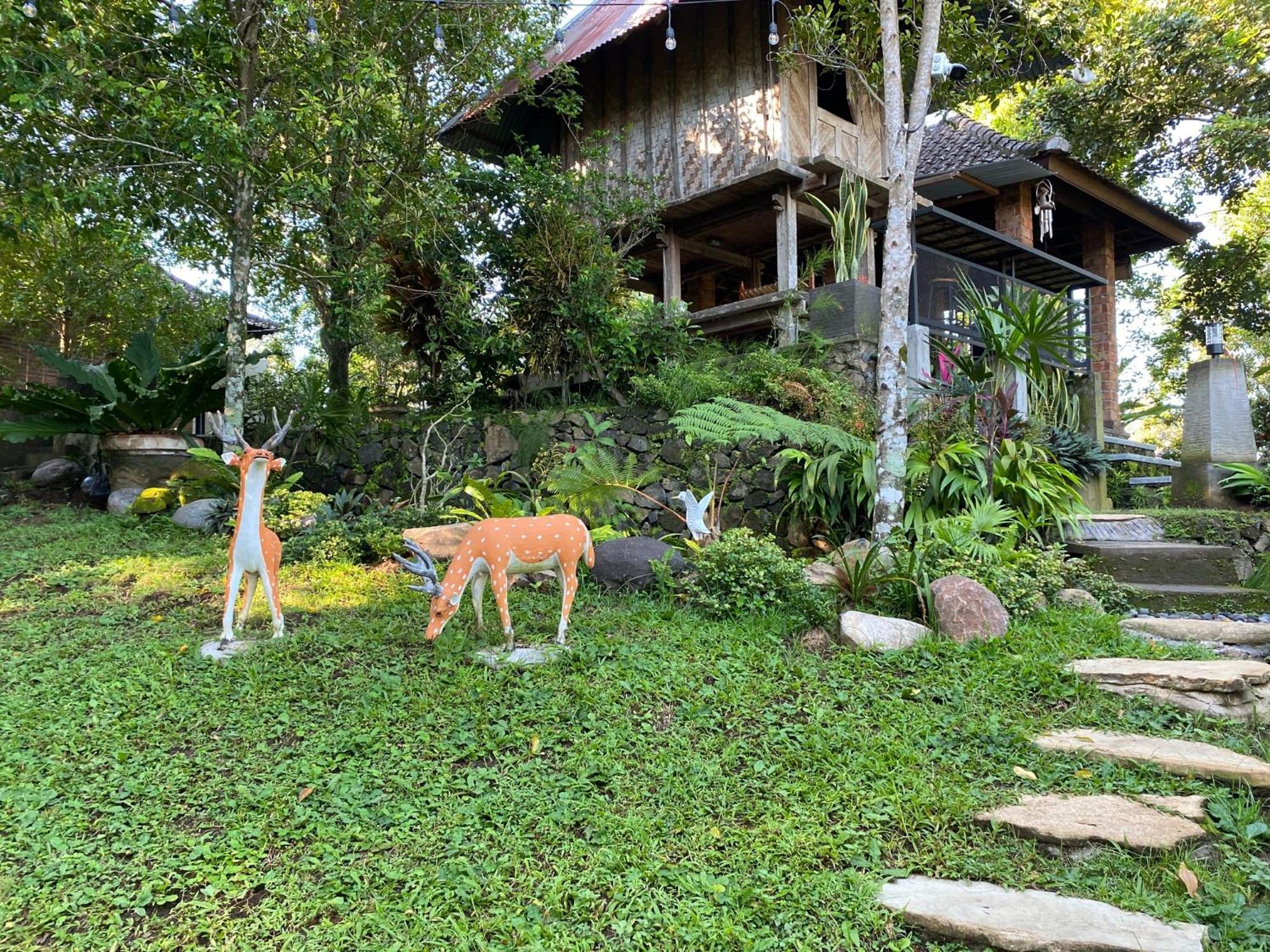 Mayong Bali Villa And Hostel Munduk Extérieur photo